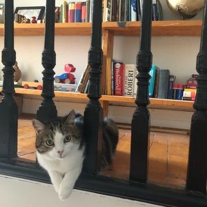 Meet your Posher, Ann